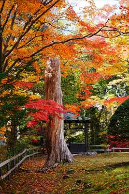 1048_函館見晴公園_北海道