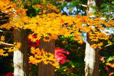 函館見晴公園_北海道