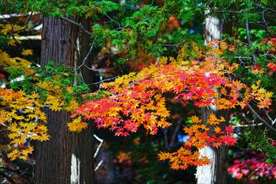 1050_函館見晴公園_北海道