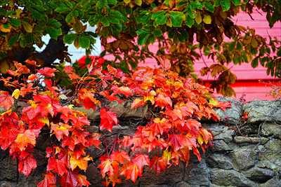 1059_函館カトリック元町教会_北海道