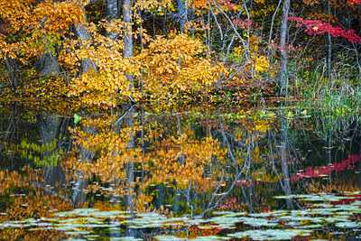 1065_大沼公園_北海道
