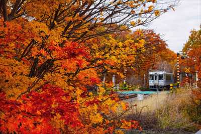1067_大沼公園_北海道
