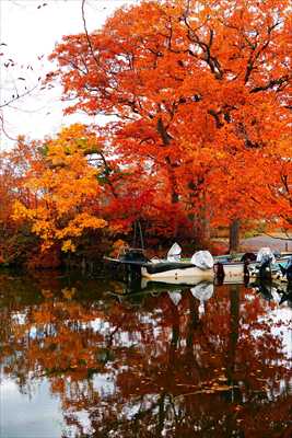 1070_大沼公園_北海道