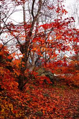 1074_大沼公園_北海道