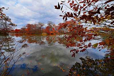 1077_大沼公園_北海道