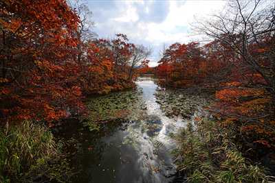 1080_大沼公園_北海道