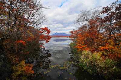 1081_大沼公園_北海道
