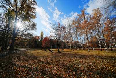1116_札幌真駒内公園_北海道