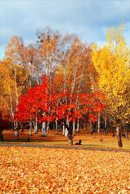 1118_札幌真駒内公園_北海道