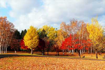1119_札幌真駒内公園_北海道