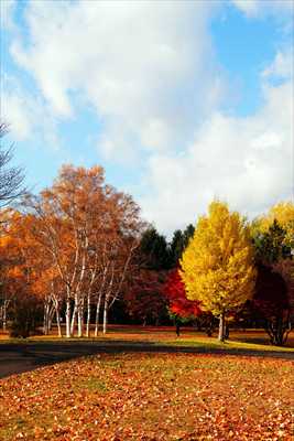 札幌真駒内公園_北海道