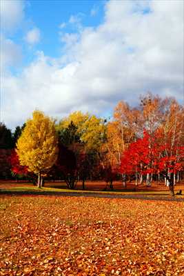 1123_札幌真駒内公園_北海道