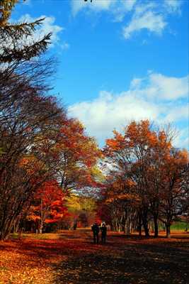 1124_札幌真駒内公園_北海道