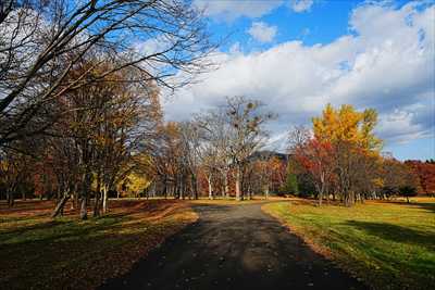1126_札幌真駒内公園_北海道