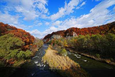 1106_札幌藻南公園_北海道