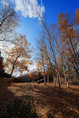 1107_札幌藻南公園_北海道