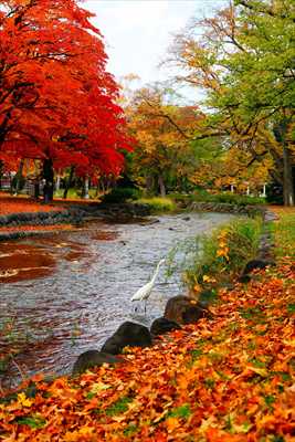 1100_札幌中島公園_北海道