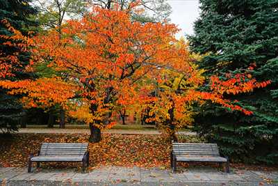1101_札幌中島公園_北海道