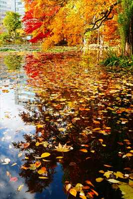 1095_札幌道庁赤れんが庁舎_北海道