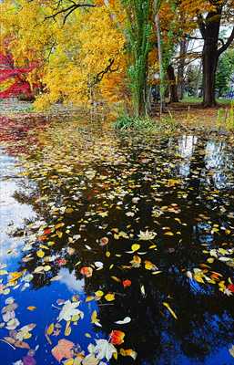 1096_札幌道庁赤れんが庁舎_北海道
