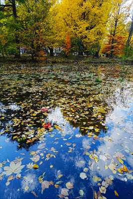 札幌道庁赤れんが庁舎_北海道