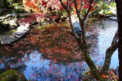 高崎徳明園_群馬