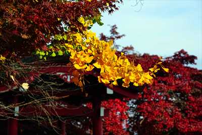 1014_観音山 慈眼院_群馬