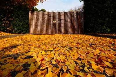 洛中 東寺_京都