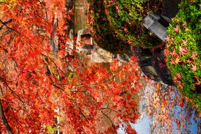1142_洛中 東寺_京都