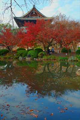 1144_洛中 東寺_京都