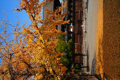 1148_洛中 東寺_京都