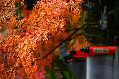 1072_洛東 今熊野観音寺_京都