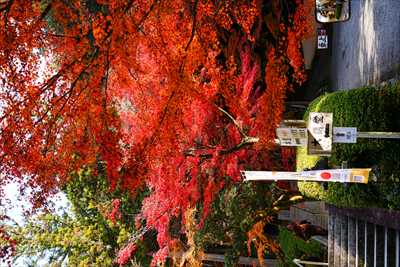 洛東 今熊野観音寺_京都