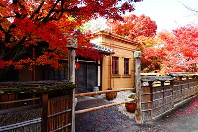 1183_洛東 そば茶寮 澤正_京都