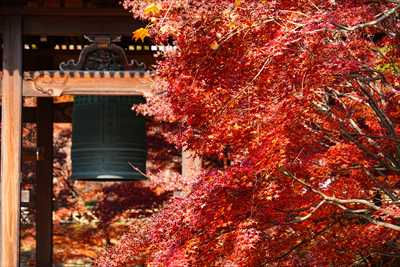 1049_洛東 智積院_京都