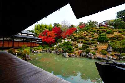 1057_洛東 智積院_京都