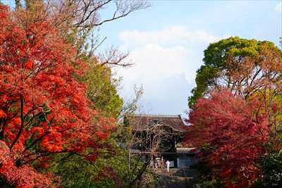 1207_洛東 大谷本廟_京都