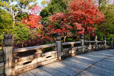 洛東 大谷本廟_京都