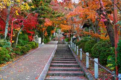 1212_洛東 粟田神社_京都