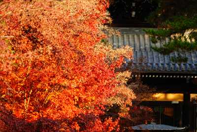 1004_洛東 南禅寺_京都