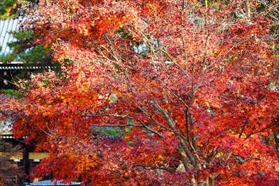 1006_洛東 南禅寺_京都