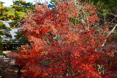 1007_洛東 南禅寺_京都