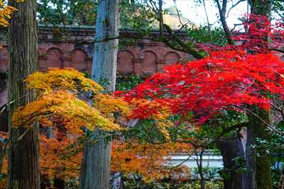 1012_洛東 南禅寺_京都