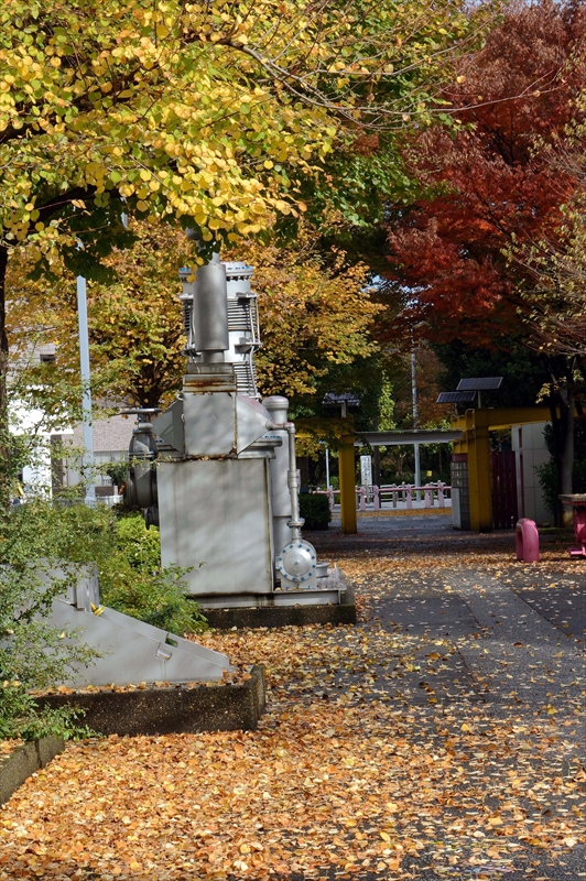 1111_横浜市新羽町_神奈川