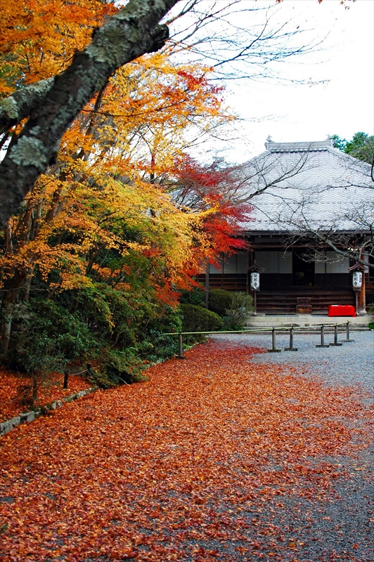 1001_洛北 常照寺_京都