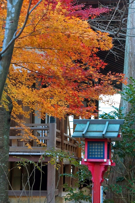 1003_洛北 常照寺_京都