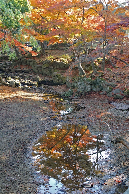 1002_奈良公園_奈良