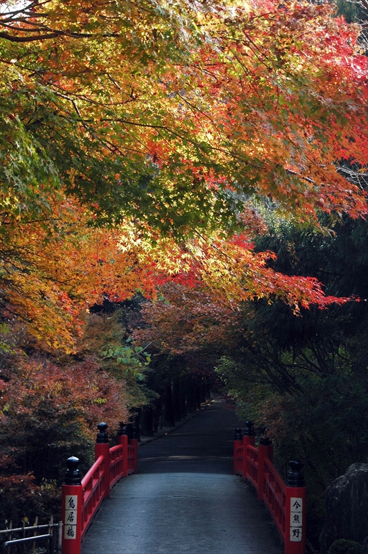 1067_洛東 今熊野観音寺_京都