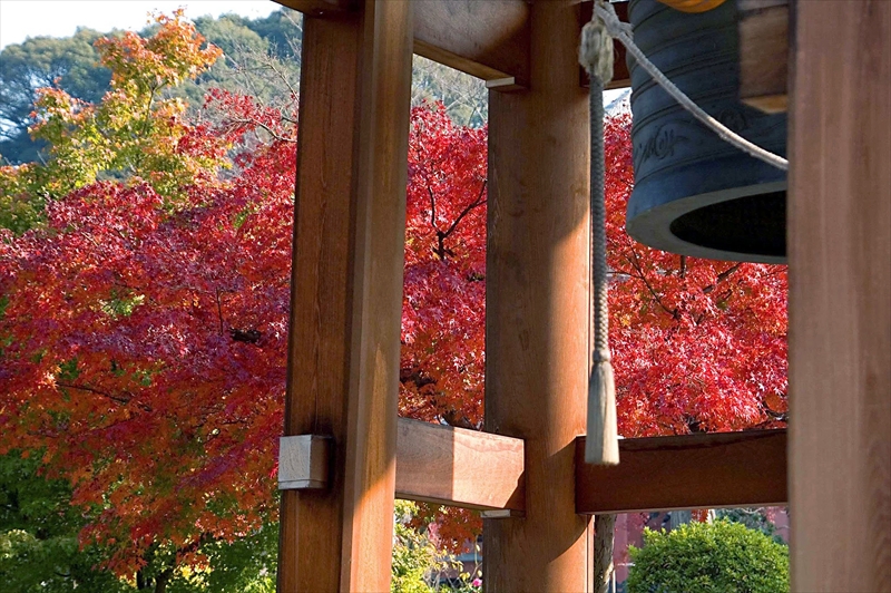 1024_洛東 智積院_京都