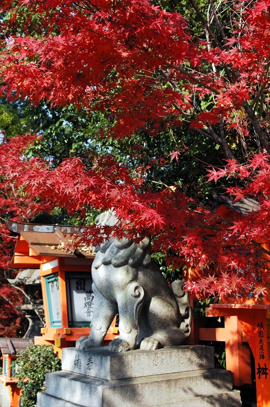 1021_洛東 八坂神社_京都